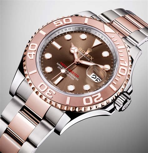 rolex oyster perpetual yacht master everose price|rolex yacht master gold price.